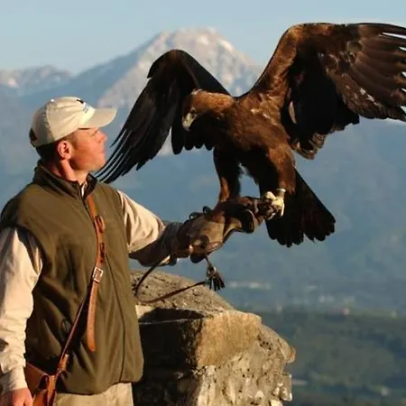 Vogelsinger * Ossiach