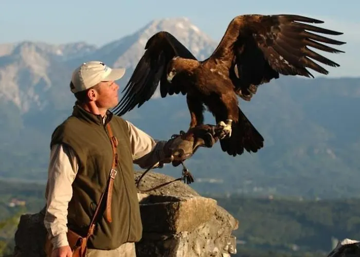 Vogelsinger * Ossiach