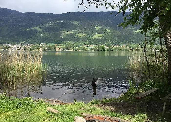 Apartment Vogelsinger Ossiach